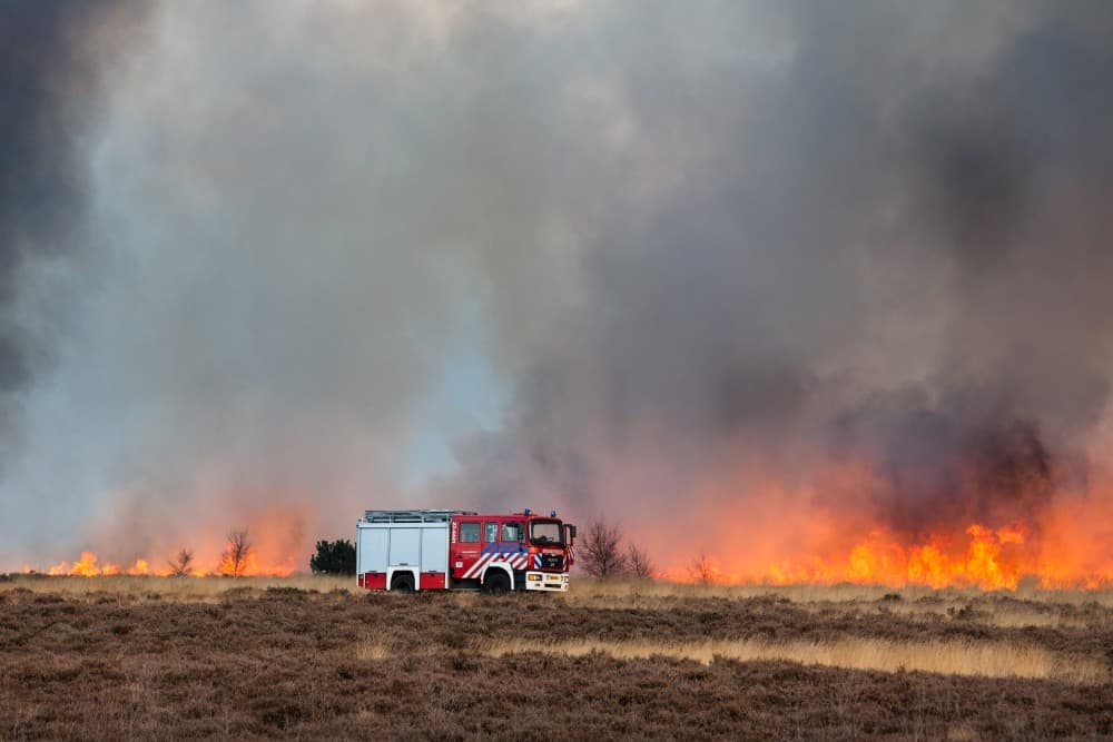 Recordaantal natuurbranden in Brabant